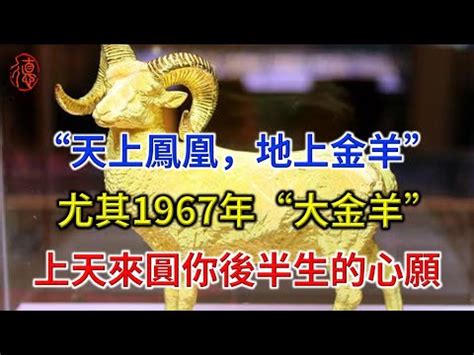 67年屬什麼|【67年次屬】民國67年次屬什麼生肖？幾歲？一文搞。